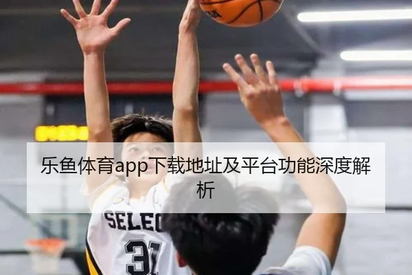 乐鱼体育app下载地址及平台功能深度解析